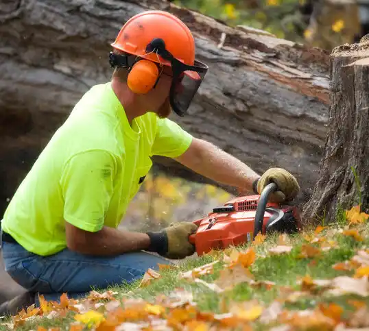 tree services Rollingstone